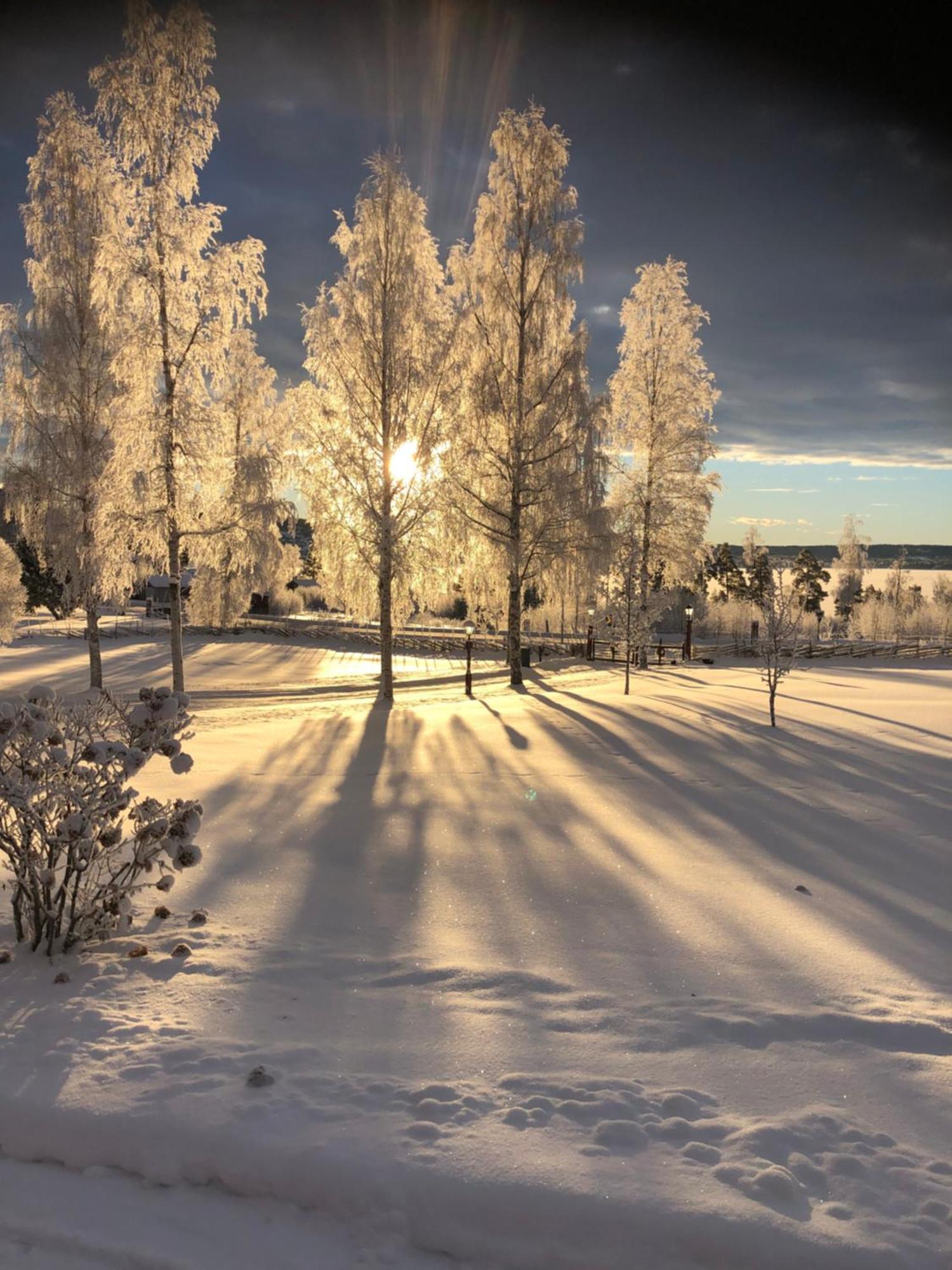Mysigt Boende I Raettvik Med Utsikt Oever Siljan Exterior foto
