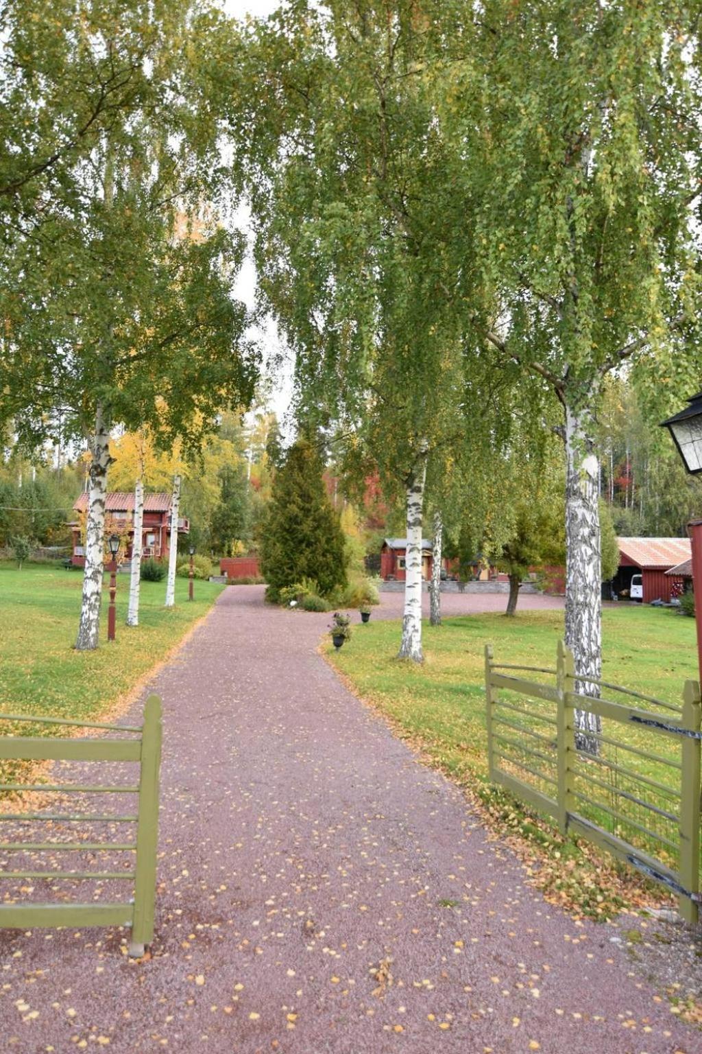 Mysigt Boende I Raettvik Med Utsikt Oever Siljan Exterior foto